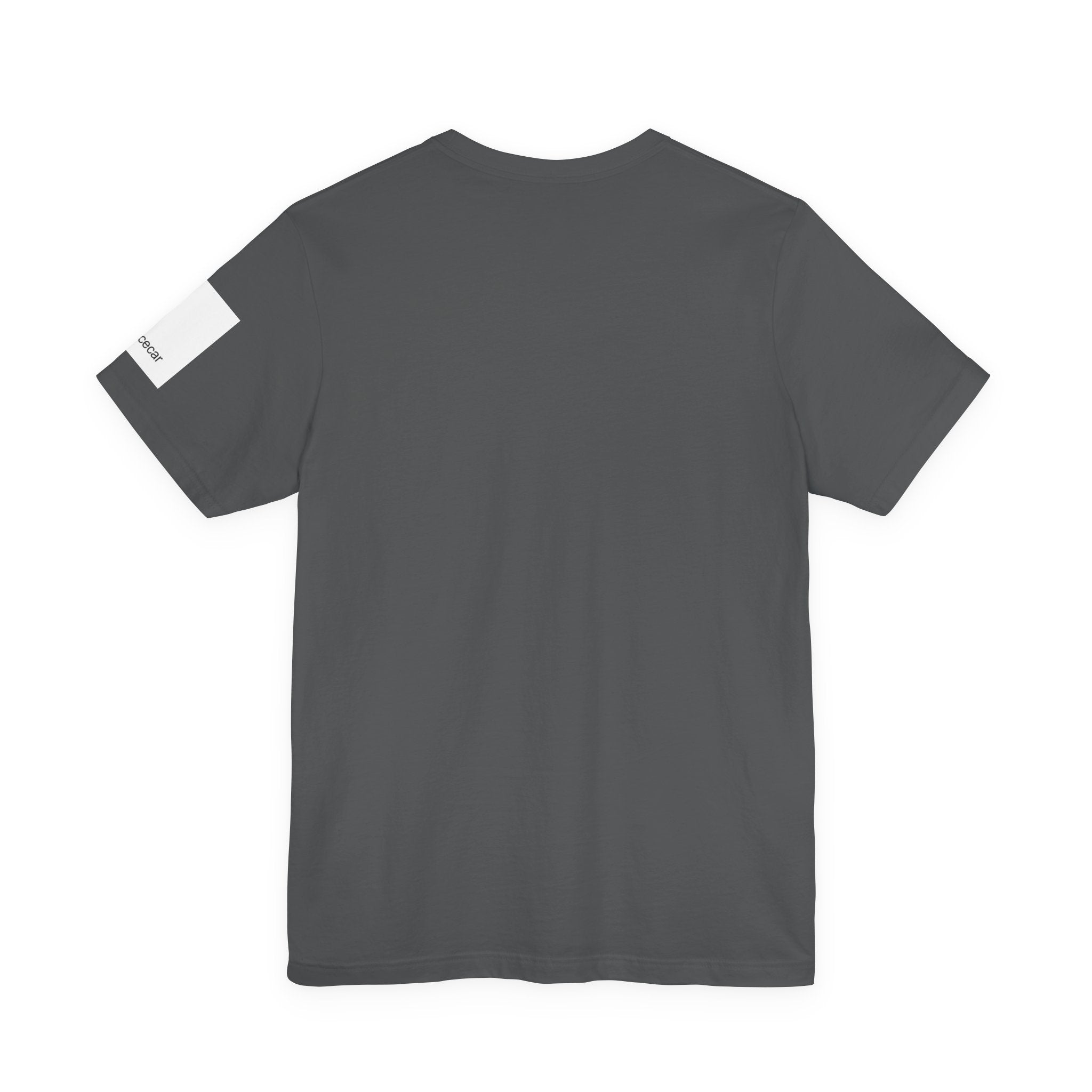 Minimalist Racecar Text T-Shirt Unisex