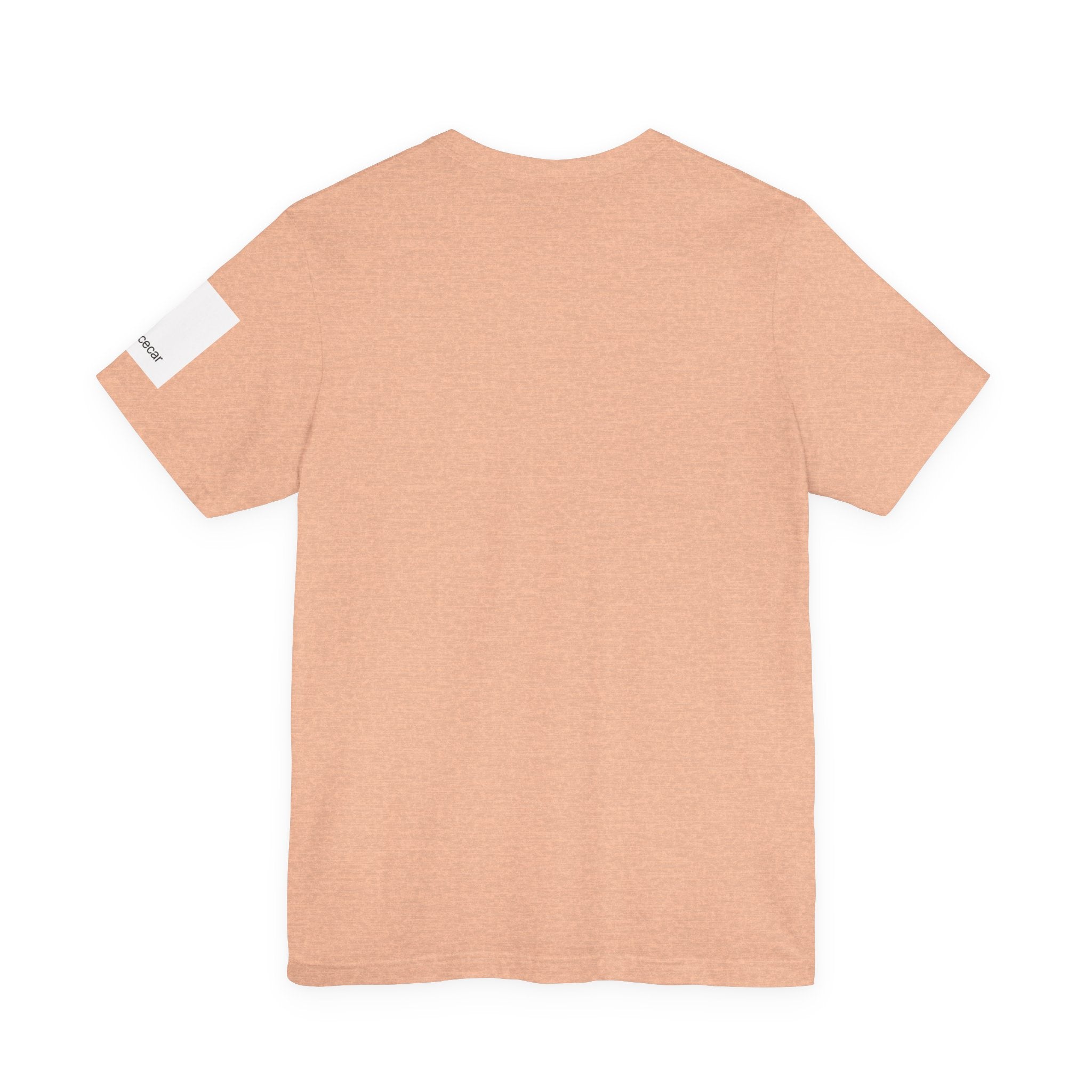 Minimalist Racecar Text T-Shirt Unisex